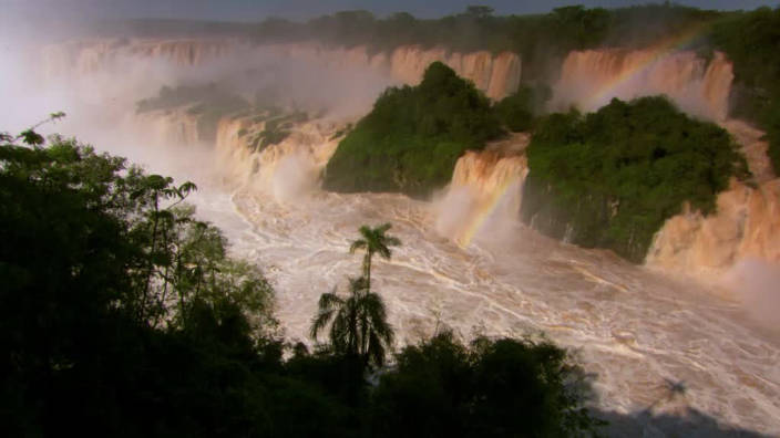 007. Les animaux des chutes d'Iguaçu
